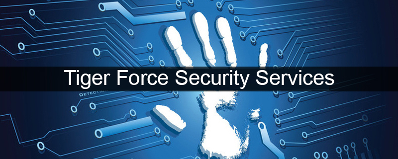Tiger Force Security Services 